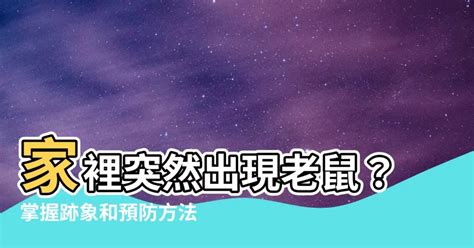 家裡突然有老鼠|防除老鼠要「鬥智」